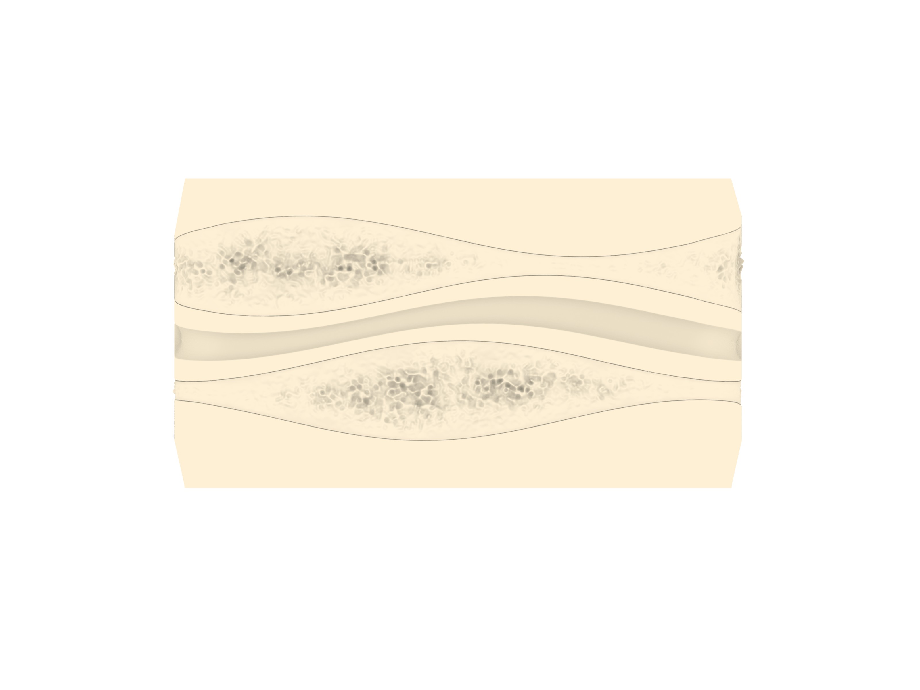 Flat elevation of the back panel: two lens-shaped bands of rough texture between smooth cream surfaces.